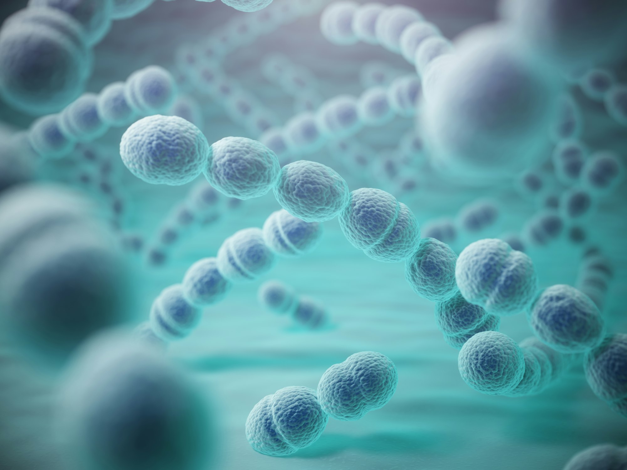 Streptococcus