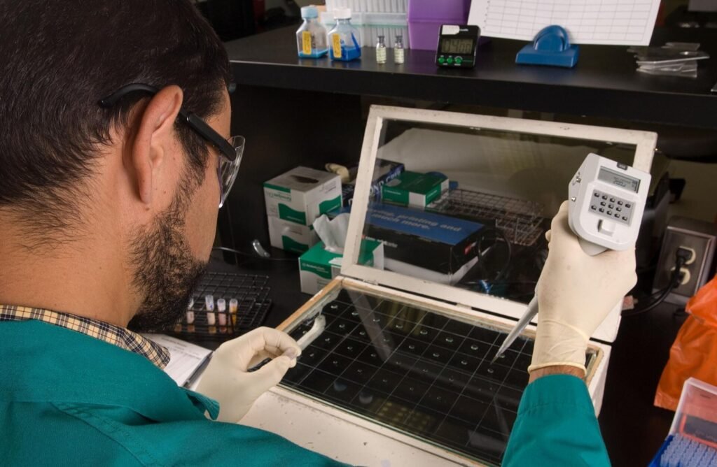Raiva mata seis animais em Dom Aquino e Rondonópolis; Indea vacina rebanhos Montana Department of Livestock (MDOL) Veterinary Microbiologist performing brucellosis Standard Plate Test at the MDOL Veterinary Diagnostic Laborato