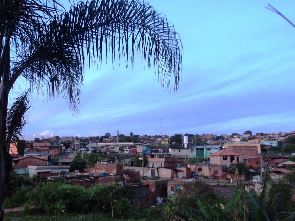 Ribeirão das Neves vacina cães e gatos contra a raiva neste sábado Ribeirão das Neves