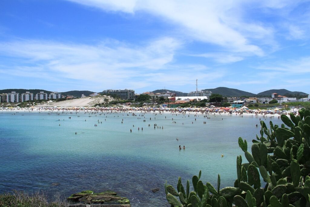 Caravela-portuguesa encalhada alerta banhistas em praia de Cabo Frio Caravela-portuguesa encalhada alerta banhistas em praia de Cabo Frio