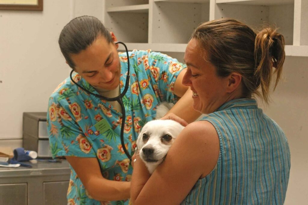 Casos de raiva em cães reforçam importância da vacinação anual Casos de raiva em cães reforçam importância da vacinação anual