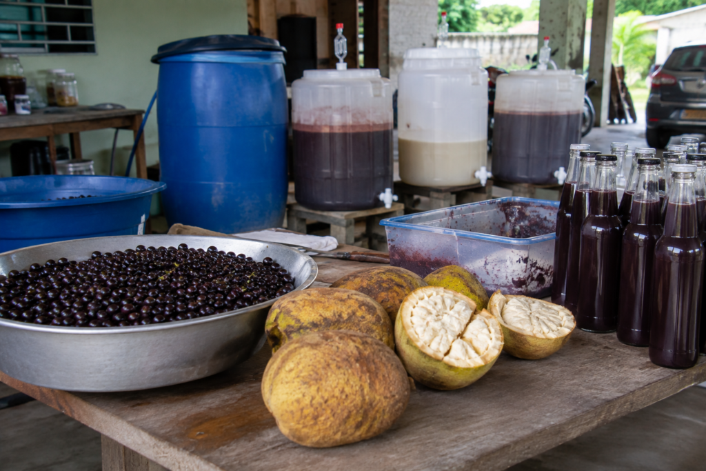 Funcionário do SUS no Acre produz fermentados de açaí e cupuaçu na garagem de casa