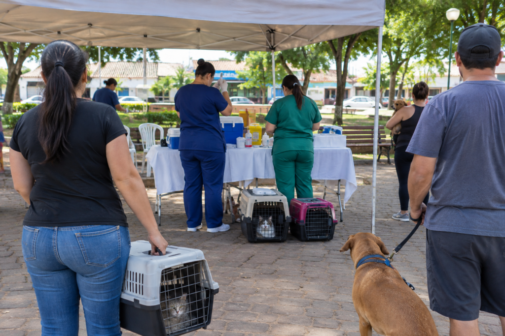 Jateí faz Dia D de vacinação antirrábica para cães e gatos neste sábado