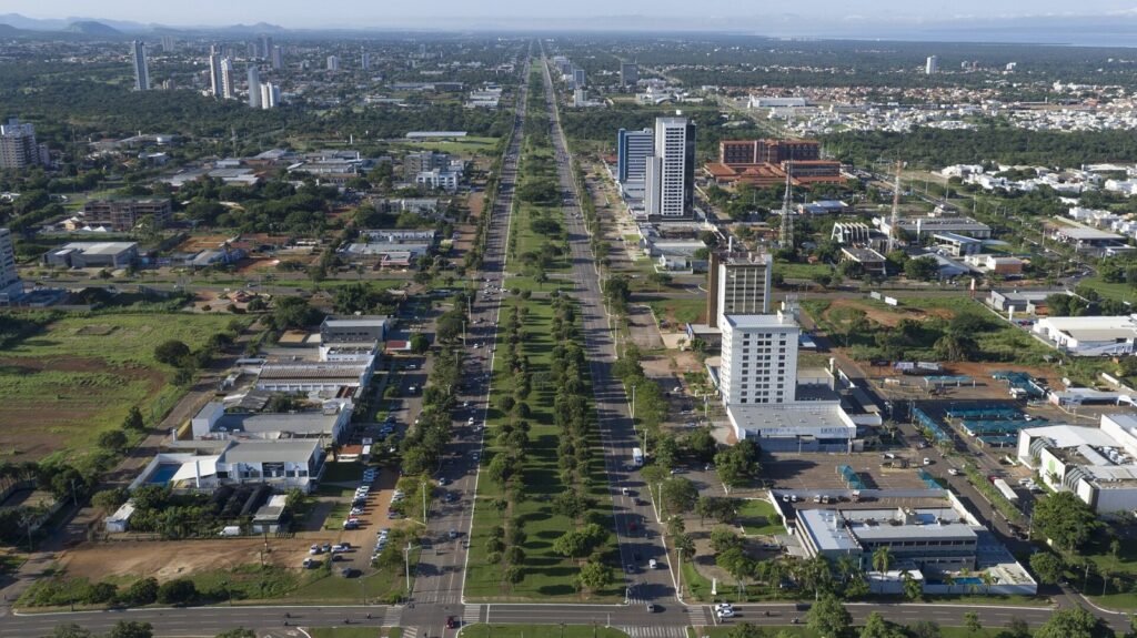 Palmas