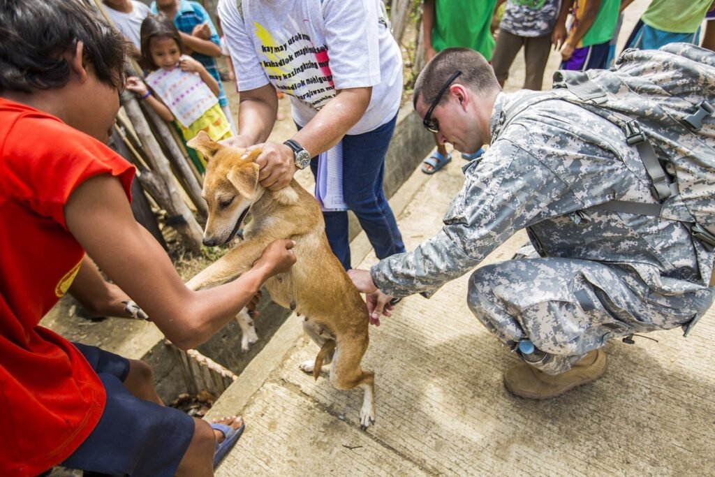 Praça do Coophasul terá vacinação gratuita de cães e gatos neste domingo Praça do Coophasul terá vacinação gratuita de cães e gatos neste domingo