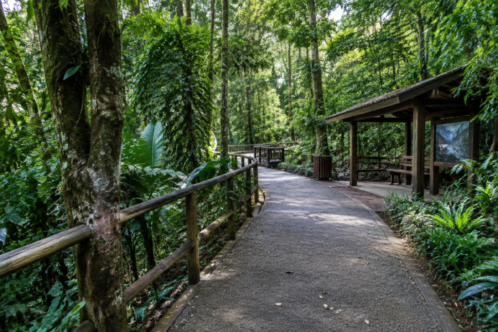 O Parque Zoológico Municipal tem 150 mil m² de Mata Atlântica.