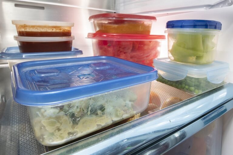 Conservação de alimentos: como guardar comida pronta, carnes e laticínios