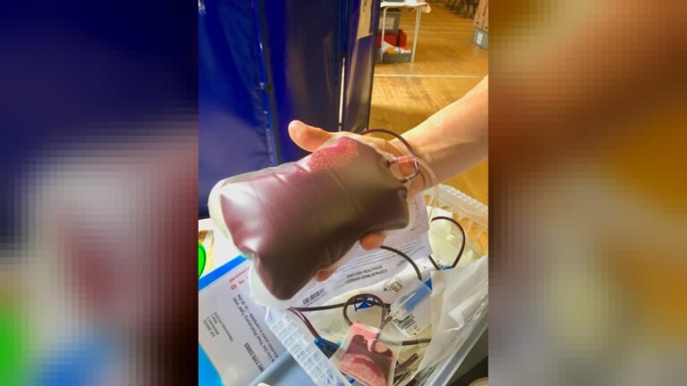 Doação de sangue: Pró-Sangue reduz espera após tatuagem para sete dias