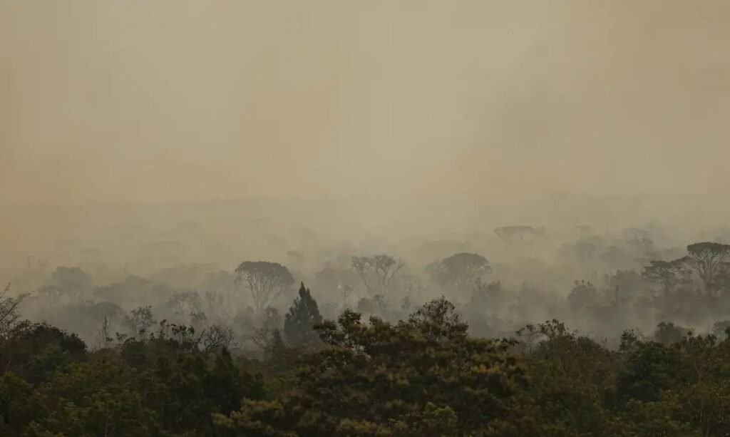 Queimadas no Amazonas: Manaus ganha base do SUS após alta de atendimentos Queimadas no Amazonas: Manaus ganha base do SUS após alta de atendimentos
