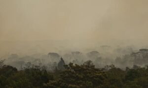Queimadas no Amazonas: Manaus ganha base do SUS após alta de atendimentos
