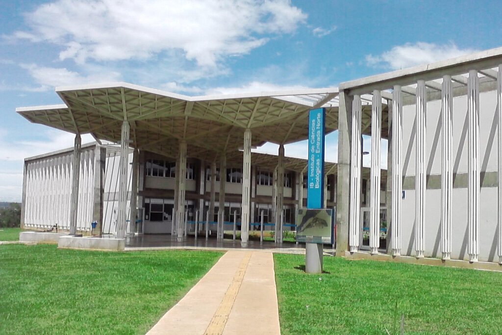 Sono fragmentado por insônia ou apneia pode elevar risco de Alzheimer Universidade de Brasília
