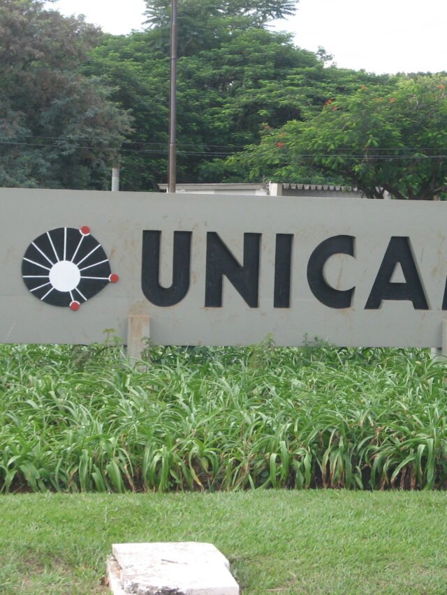 Estudo da Unicamp associa casca de jabuticaba a melhora da glicose
