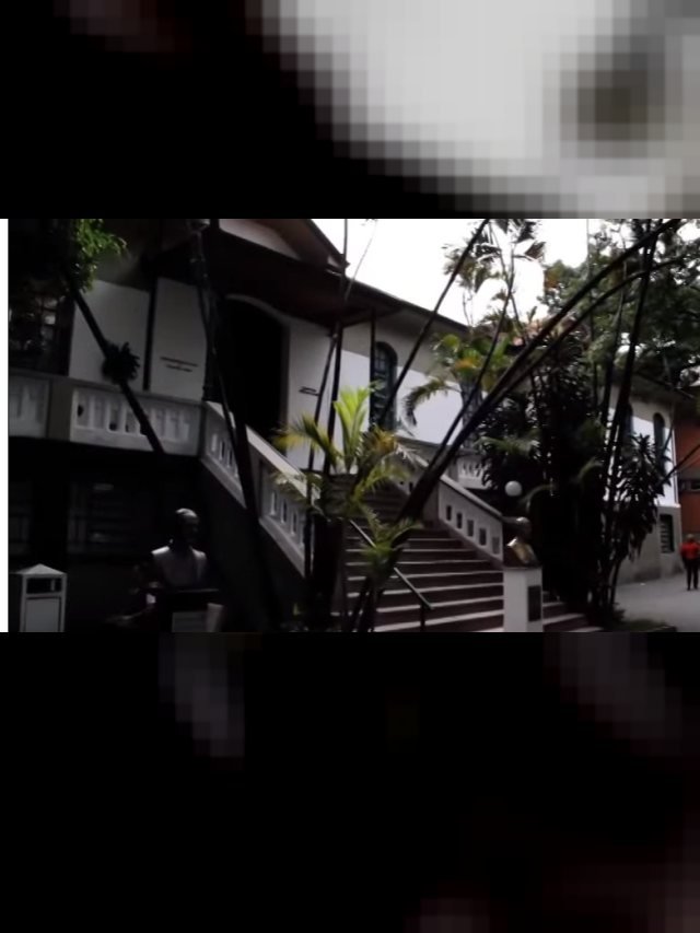 Um em cada cinco jovens tem diagnóstico de problema mental